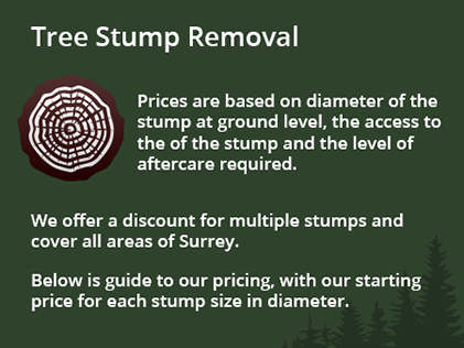 tree-stumps-removal-info